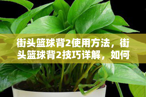 街头篮球背2使用方法,街头篮球背2技巧详解,如何运用背2技巧提升你的球技 街头篮球背2使用方法,街头篮球背2技巧详解,如何运用背2技巧提升你的球技