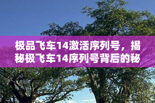 极品飞车14激活序列号,揭秘极飞车14序列号背后的秘密 极品飞车14激活序列号,揭秘极飞车14序列号背后的秘密