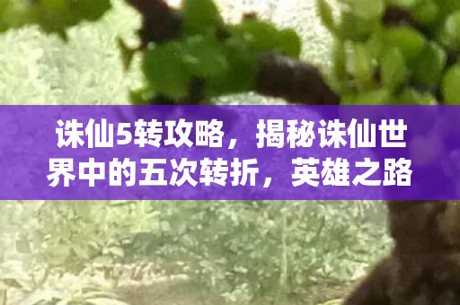 诛仙5转攻略，揭秘诛仙世界中的五次转折，英雄之路的坎坷与成长