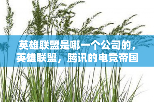 英雄联盟是哪一个公司的，英雄联盟，腾讯的电竞帝国