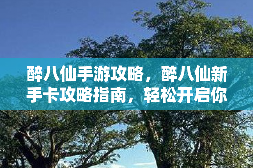 醉八仙手游攻略，醉八仙新手卡攻略指南，轻松开启你的奇幻之旅