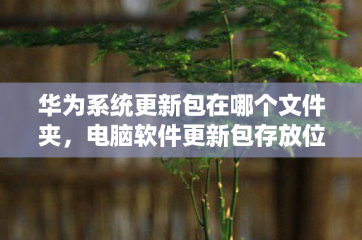 华为系统更新包在哪个文件夹,电脑软件更新包存放位置详解 华为系统更新包在哪个文件夹,电脑软件更新包存放位置详解