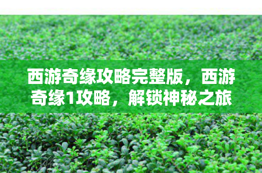 西游奇缘攻略完整版图片