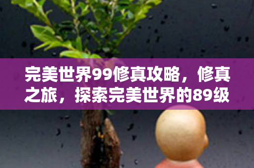 完美世界99修真攻略，修真之旅，探索完美世界的89级修真境界