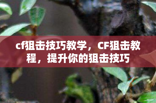 cf狙击技巧教学,CF狙击教程,提升你的狙击技巧 cf狙击技巧教学,CF狙击教程,提升你的狙击技巧