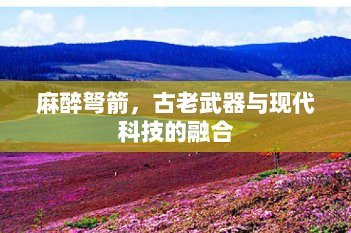 麻醉弩箭，古老武器与现代科技的融合