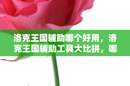 洛克王国辅助哪个好用,洛克王国辅助工具大比拼,哪个才是你的最佳拍档? 洛克王国辅助哪个好用,洛克王国辅助工具大比拼,哪个才是你的最佳拍档?