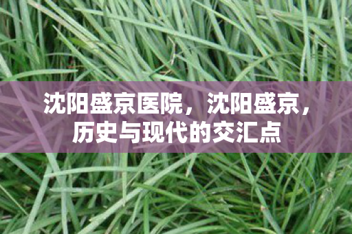 沈阳盛京医院，沈阳盛京，历史与现代的交汇点