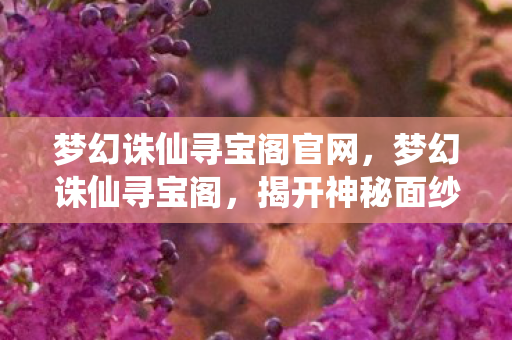 梦幻诛仙寻宝阁官网，梦幻诛仙寻宝阁，揭开神秘面纱，探寻宝藏之谜