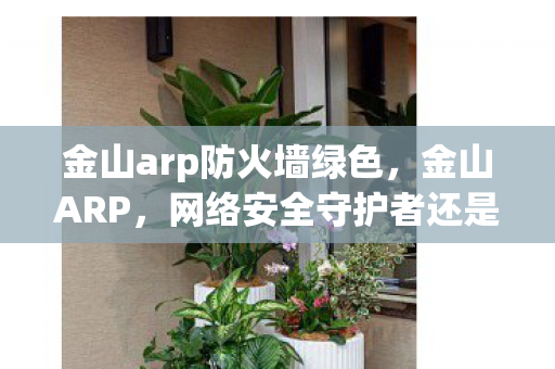 金山arp防火墙绿色,金山ARP,网络安全守护者还是隐私侵犯者? 金山arp防火墙绿色,金山ARP,网络安全守护者还是隐私侵犯者?