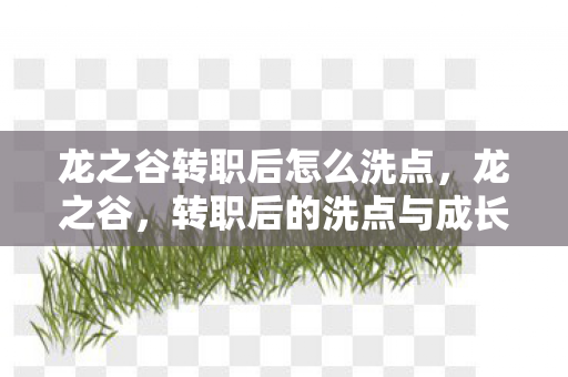 龙之谷转职后怎么洗点,龙之谷,转职后的洗点与成长之路 龙之谷转职后怎么洗点,龙之谷,转职后的洗点与成长之路