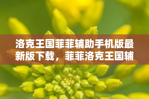 洛克王国菲菲辅助手机版最新版下载,菲菲洛克王国辅助最新版,解锁游戏新体验 洛克王国菲菲辅助手机版最新版下载,菲菲洛克王国辅助最新版,解锁游戏新体验