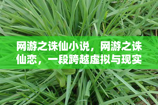 网游之诛仙小说，网游之诛仙恋，一段跨越虚拟与现实的爱情故事