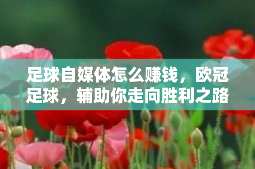 足球自媒体怎么赚钱，欧冠足球，辅助你走向胜利之路