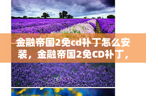 金融帝国2免cd补丁怎么安装,金融帝国2免CD补丁,合法与道德的边界 金融帝国2免cd补丁怎么安装,金融帝国2免CD补丁,合法与道德的边界