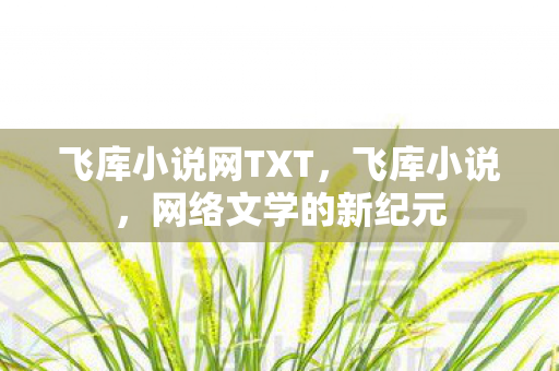 飞库小说网TXT，飞库小说，网络文学的新纪元