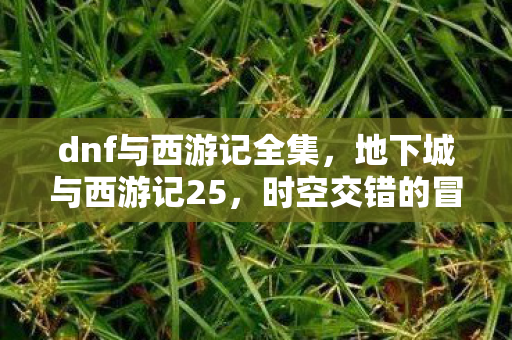 dnf与西游记全集，地下城与西游记25，时空交错的冒险