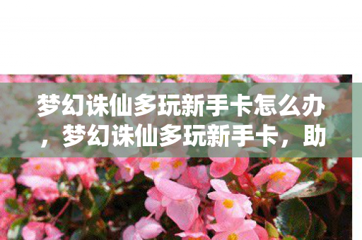 梦幻诛仙多玩新手卡怎么办,梦幻诛仙多玩新手卡,助你启程的神奇钥匙 梦幻诛仙多玩新手卡怎么办,梦幻诛仙多玩新手卡,助你启程的神奇钥匙