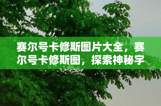 赛尔号卡修斯图片大全，赛尔号卡修斯图，探索神秘宇宙的勇者之旅