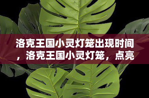 洛克王国小灵灯笼出现时间，洛克王国小灵灯笼，点亮智慧之光的神秘宠物