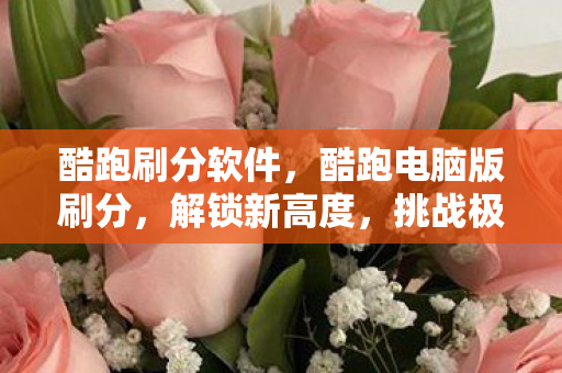 酷跑刷分软件，酷跑电脑版刷分，解锁新高度，挑战极限！