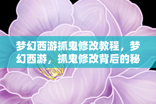 梦幻西游抓鬼修改教程，梦幻西游，抓鬼修改背后的秘密与风险