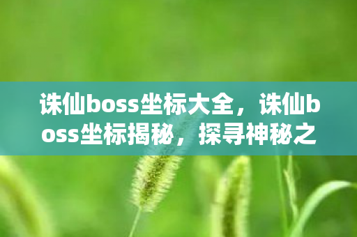 诛仙boss坐标大全，诛仙boss坐标揭秘，探寻神秘之地