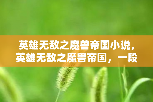 英雄无敌之魔兽帝国小说，英雄无敌之魔兽帝国，一段传奇的崛起与辉煌