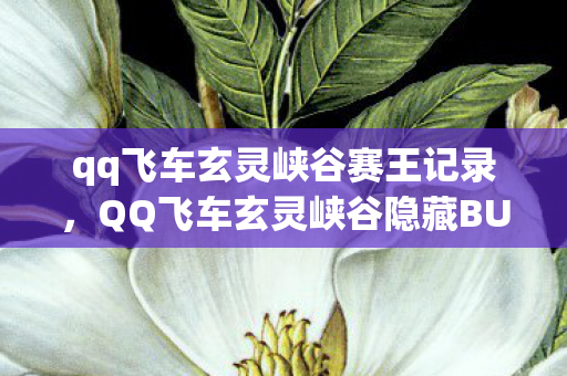 qq飞车玄灵峡谷赛王记录,QQ飞车玄灵峡谷隐藏BUG揭秘,助你飞速穿越赛道 qq飞车玄灵峡谷赛王记录,QQ飞车玄灵峡谷隐藏BUG揭秘,助你飞速穿越赛道