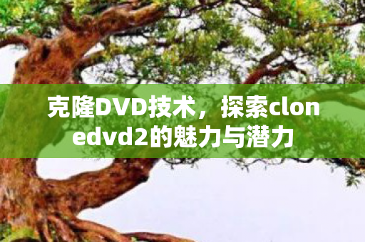 克隆DVD技术，探索clonedvd2的魅力与潜力