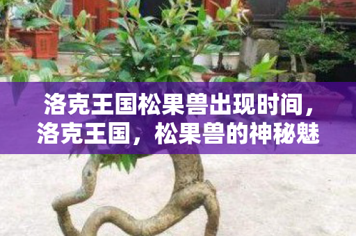 洛克王国松果兽出现时间，洛克王国，松果兽的神秘魅力