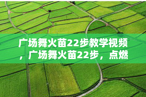 广场舞火苗22步教学视频图片