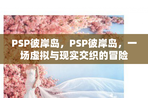 PSP彼岸岛，PSP彼岸岛，一场虚拟与现实交织的冒险