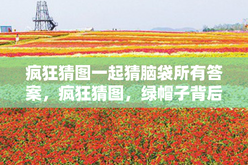 疯狂猜图一起猜脑袋所有答案，疯狂猜图，绿帽子背后的文化深意