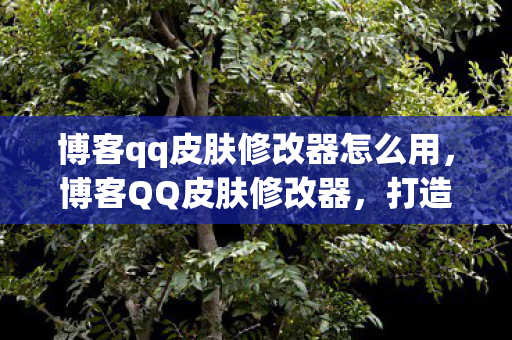 博客qq皮肤修改器怎么用,博客QQ皮肤修改器,打造个性化聊天体验 博客qq皮肤修改器怎么用,博客QQ皮肤修改器,打造个性化聊天体验