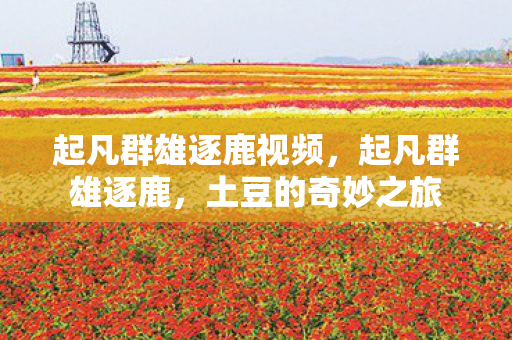 起凡群雄逐鹿视频,起凡群雄逐鹿,土豆的奇妙之旅 起凡群雄逐鹿视频,起凡群雄逐鹿,土豆的奇妙之旅