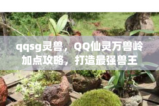 qqsg灵兽，QQ仙灵万兽岭加点攻略，打造最强兽王