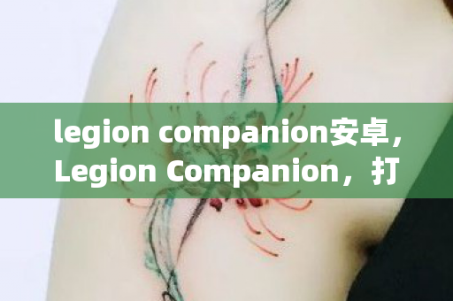 legion companion安卓，Legion Companion，打造高效游戏团队的秘密武器