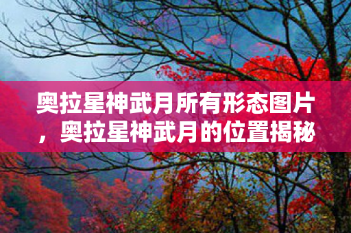 奥拉星神武月所有形态图片，奥拉星神武月的位置揭秘