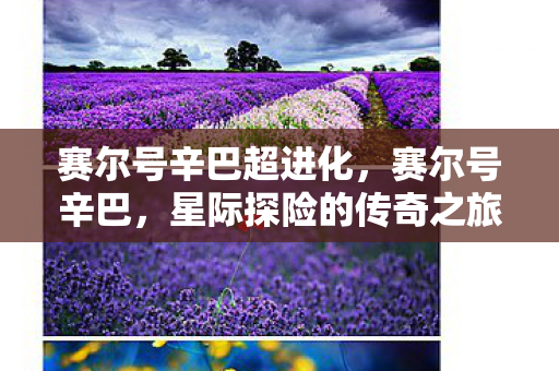 赛尔号辛巴超进化，赛尔号辛巴，星际探险的传奇之旅