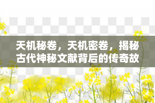 天机秘卷，天机密卷，揭秘古代神秘文献背后的传奇故事