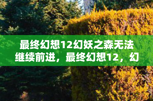 最终幻想12幻妖之森无法继续前进图片
