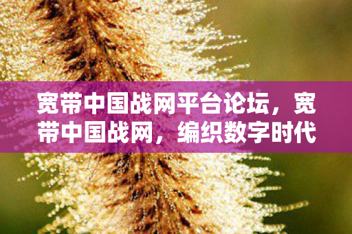 宽带中国战网平台论坛,宽带中国战网,编织数字时代的信息高速公路 宽带中国战网平台论坛,宽带中国战网,编织数字时代的信息高速公路