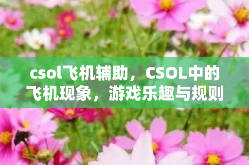 csol飞机辅助,CSOL中的飞机现象,游戏乐趣与规则的平衡 csol飞机辅助,CSOL中的飞机现象,游戏乐趣与规则的平衡