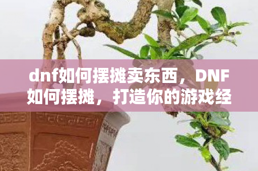 dnf如何摆摊卖东西，DNF如何摆摊，打造你的游戏经济帝国