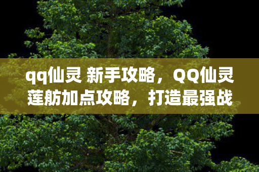qq仙灵 新手攻略，QQ仙灵莲舫加点攻略，打造最强战斗伙伴