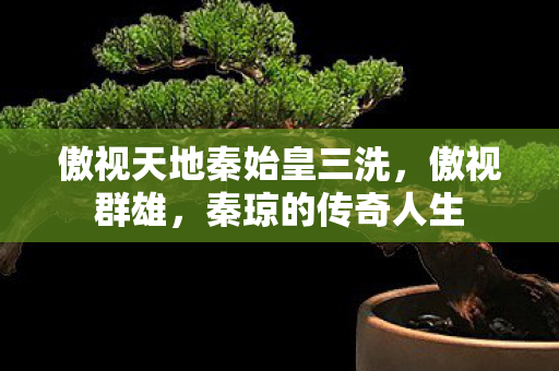 傲视天地秦始皇三洗,傲视群雄,秦琼的传奇人生 傲视天地秦始皇三洗,傲视群雄,秦琼的传奇人生