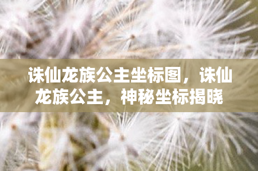 诛仙龙族公主坐标图，诛仙龙族公主，神秘坐标揭晓