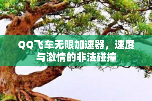 QQ飞车无限加速器,速度与激情的非法碰撞 QQ飞车无限加速器,速度与激情的非法碰撞