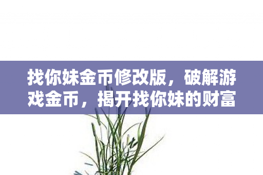 找你妹金币修改版,破解游戏金币,揭开找你妹的财富密码 找你妹金币修改版,破解游戏金币,揭开找你妹的财富密码